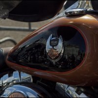 Парад Harley-Davidson в Петербурге 09.08.2014 :: Илья Кузнецов