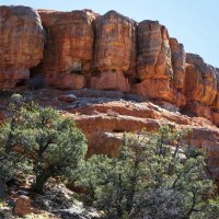 Скалы -"бочонки" в Красном каньоне. Юта. :: Барбара 
