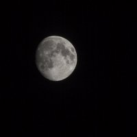 The moon :: Николай Сухоруков