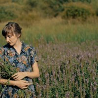 Девушка в поле с цветами :: Саша Седлецкий