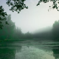 Лесное озеро в тумане утром :: Энжи ...