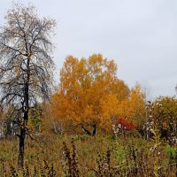 Остался  только  летний  загар... :: Vlad Borschev