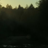 Вечер в лесу :: Евгений Киселёв