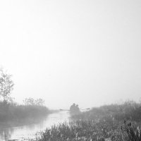 Туман :: Илья Смирнов