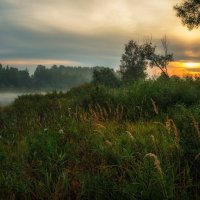 Травы, озеро, туман и рассвет. :: Andrei Dolzhenko