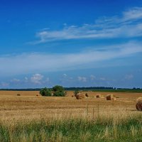 Еще немного об ушедшем лете... :: марк 