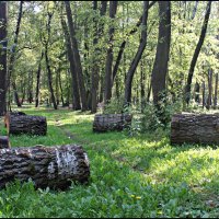 В старом парке... :: Александр Иванов