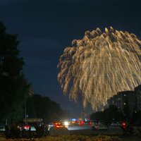 Огненное дерево :: Александр Шведов