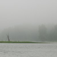 Туман :: Владимир Кузнецов