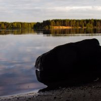 На берегу. :: Алексей Сараев