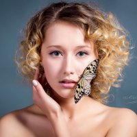 Бабочка :: Ксения Супрун