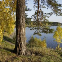 Есть в осени первоначальной короткая, но дивная пора... :: Татьяна Нестерова