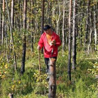 в поисках грибов :: Олег Огорельцев