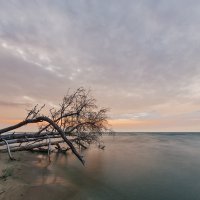 Куршский залив, утро :: Владимир Самсонов