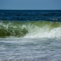 Океанская волна :: Ольга Маркова