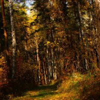 Осень :: Евгения Копылова