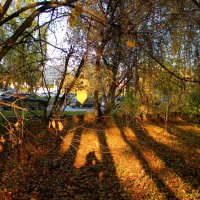фотограф и Осень :: Надежда Ерыкалина