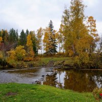 На берегу Невонки. :: Ольга 