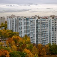 Осень в городе :: Елена Солнечная