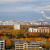 Осень в городе :: Елена Солнечная