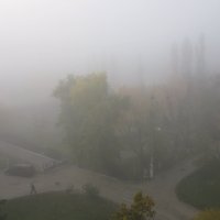 Туман в городе. :: Барбара 