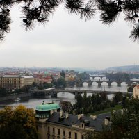 Вид на мосты :: Юлия Паршакова