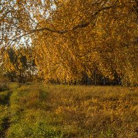 Золотая осень :: Kassen Kussulbaev