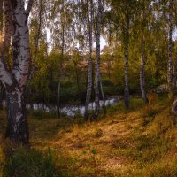 "У речки...."(Подмосковные вечера) :: Юрий Морозов