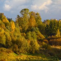 Золотая осень :: Денис Матвеев