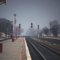Утренний туман :: Inna Radchenko (Gorovaya)
