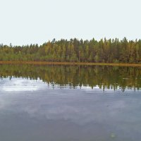 Лесное озеро :: alemigun 
