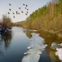 Лыжня поплыла :: Владимир Шиоевич Арбузов 