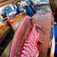 Разделка тунца на рыбном рынке Цукидзи (Токио) :: Олег Неугодников