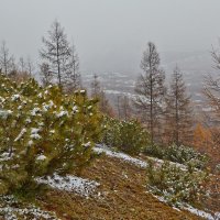 Первый снег :: Юрий Слюньков