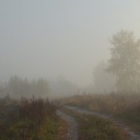 Утренний туман... :: mv12345 элиан