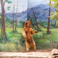 Танцующий медведь :: Delete Delete