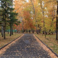 . . какой смешной сегодня день , и в нем я сам себе смешон . . . :: Борис 