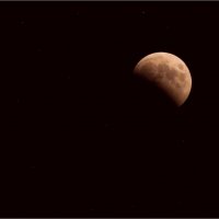 Второе в этом году полное лунное затмение (его начало) :: Igor Volkov
