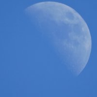 Луна :: Михаил Сергеевич Карузин