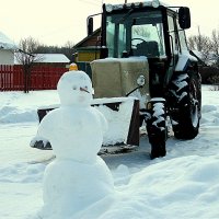 Эх, Вася,Вася......... :: Маргарита ( Марта ) Дрожжина