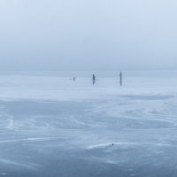 На тонком льду :: Сергей Михайлов