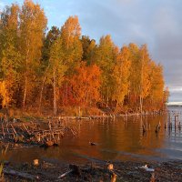 Увильды :: Владислав Сбитнев