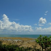 Окинава :: Юля Чарановская