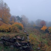 Октябрьский туман. :: Марина Шубина