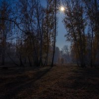 лунный свет :: Игорь Турукин