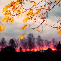 Осенний закат :: Валерий Талашов