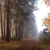 Утро осеннего дня... :: Лесо-Вед (Баранов)