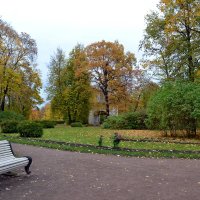 Осень в парке :: Ольга 