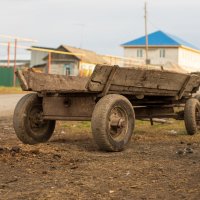 .. :: Дмитрий Виноградов