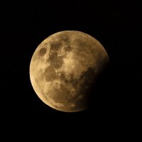 лунное затмение 8.10.14 --начало :: Светлана Шакирзянова